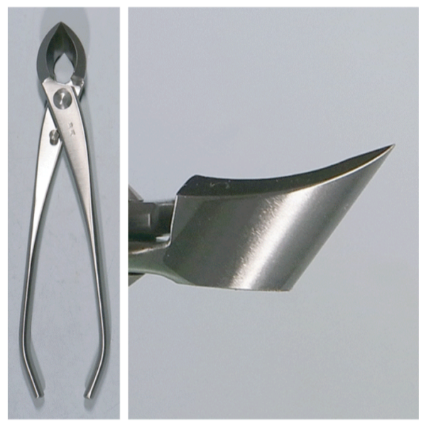 Tronchese Sferico Professionale Kaneshin Per Bonsai - Acciaio Brunito, 300 Mm - Foto 2