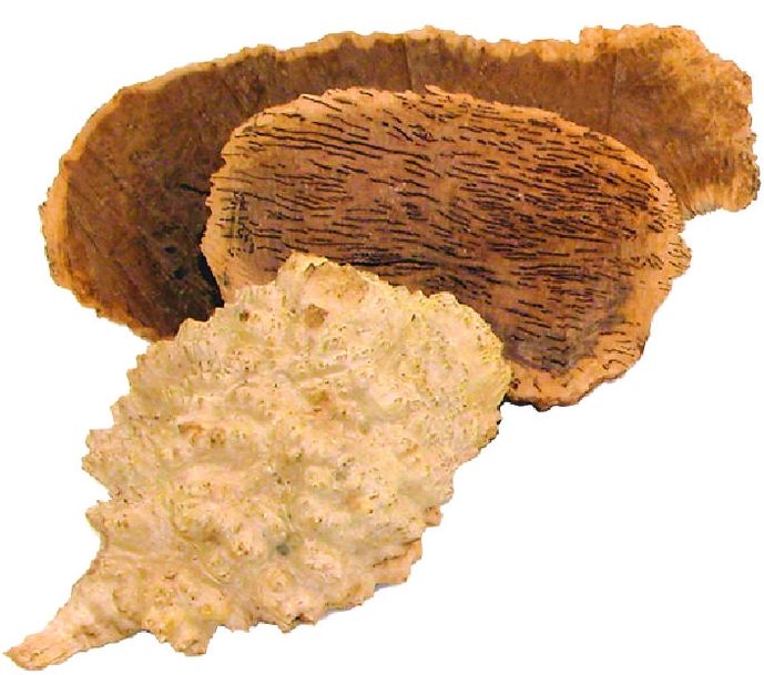Radica Texture Legno/Radica di Goldfield Burls, 150 x 18 x 18 mm – Utensili Manzanese